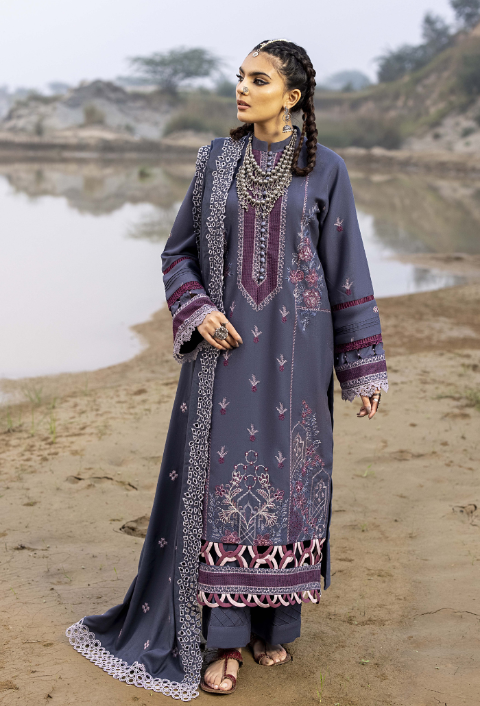 Sierra-D10 Premium Fabric Pakistani Winter Dresses - Humdum - 2