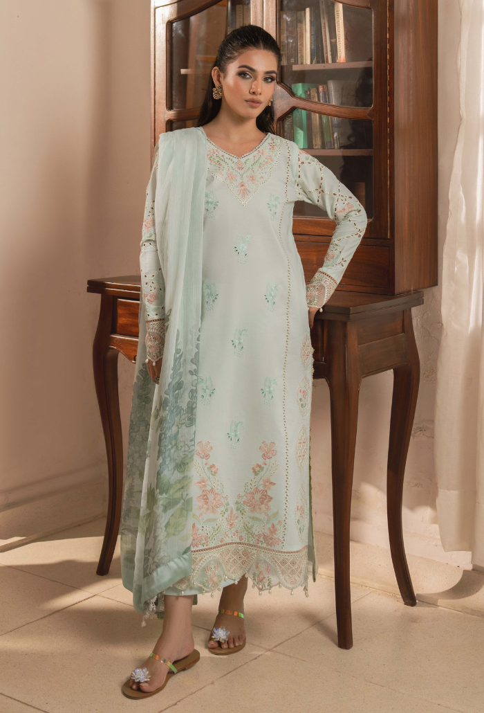 Mehrmaa - D09 Sabeen Organza Pakistani Summer Dresses - Humdum - 1