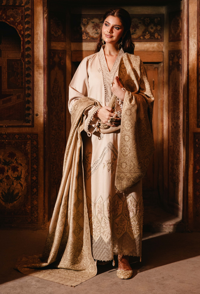 ONORA CHAPTER 2 - D02 Organza Pakistani Winter Dresses - Humdum - 2