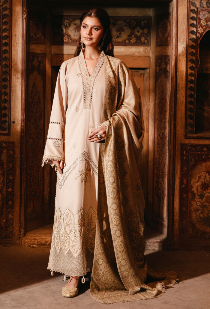 ONORA CHAPTER 2 - D02 Organza Pakistani Winter Dresses - Humdum - 1