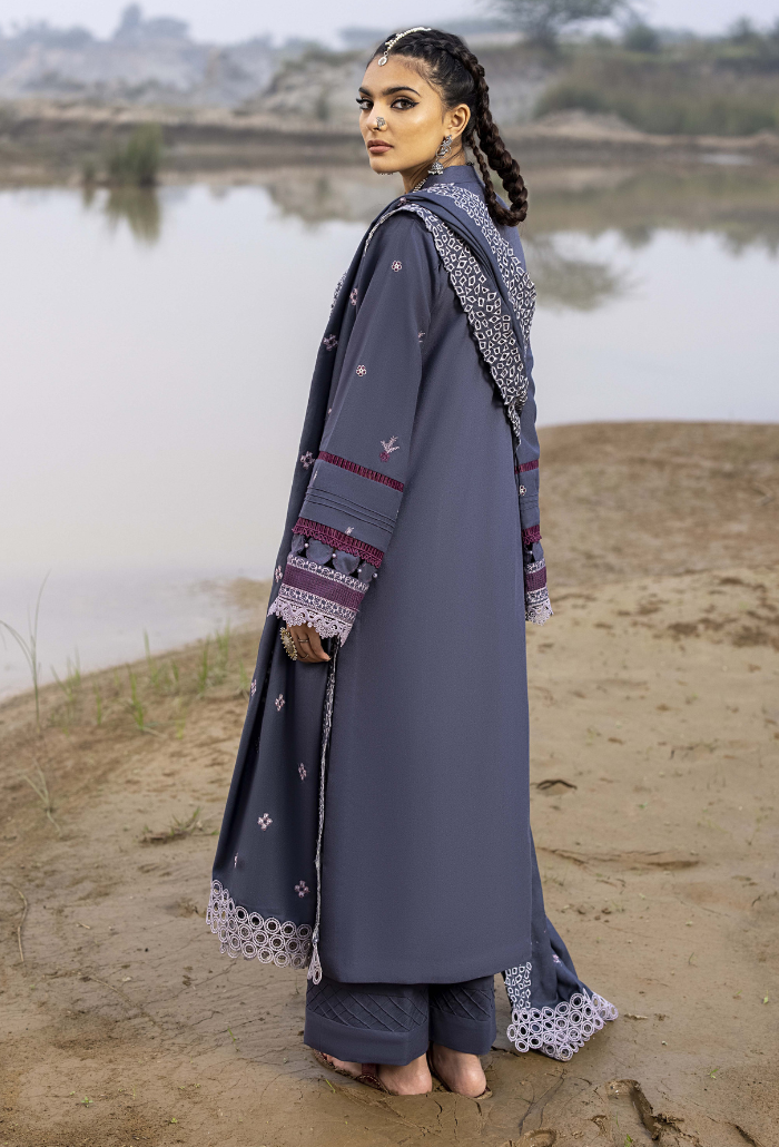 Sierra-D10 Premium Fabric Pakistani Winter Dresses - Humdum - 3