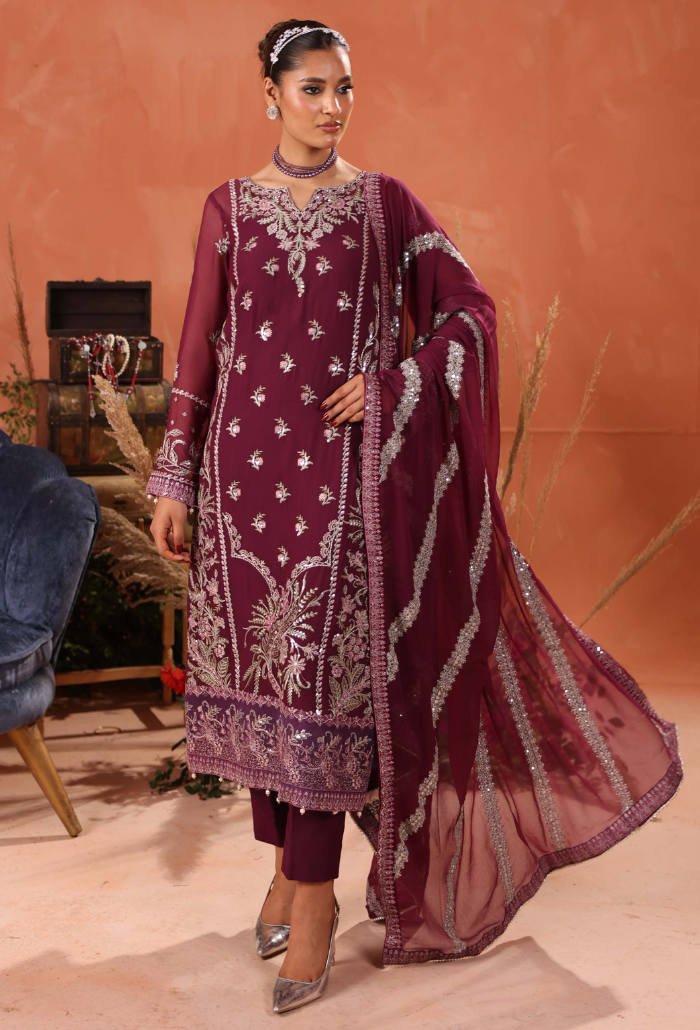 Heer-D09 Organza Pakistani Formal Dresses - Humdum - 2