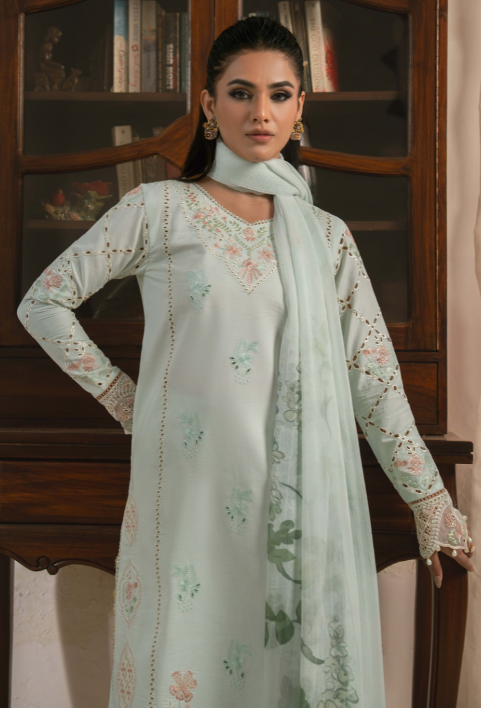 Mehrmaa - D09 Sabeen Organza Pakistani Summer Dresses - Humdum - 2