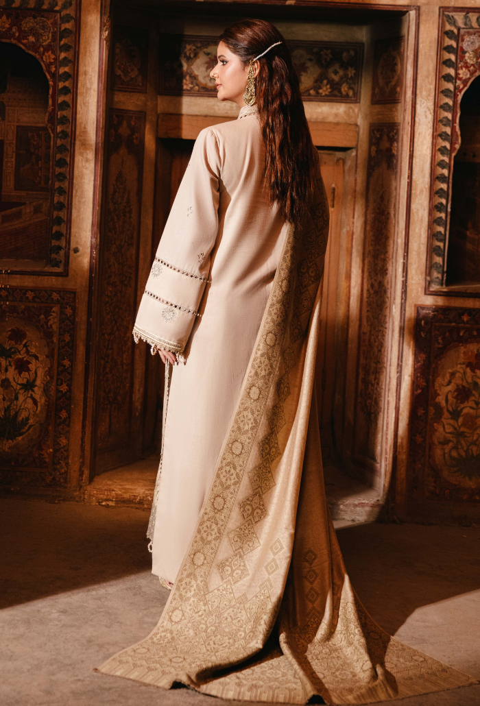 ONORA CHAPTER 2 - D02 Organza Pakistani Winter Dresses - Humdum - 3