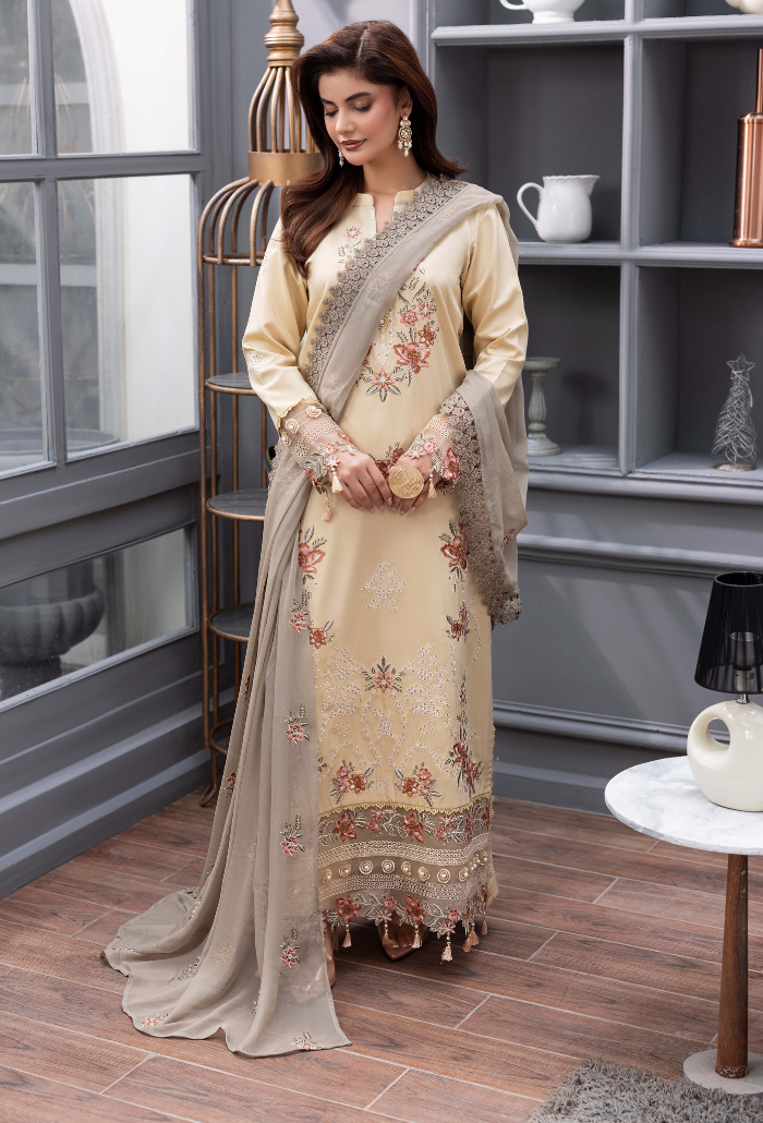 Fareeha - D09 Chiffon Pakistani Winter Dresses - Humdum - 2