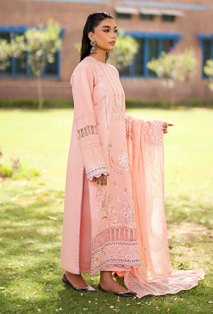 Selin - D04 Chiffon Pakistani Summer Dresses - Humdum - 3