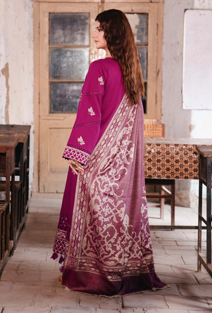 ONORA CHAPTER 2 - D07 Organza Pakistani Winter Dresses - Humdum - 3