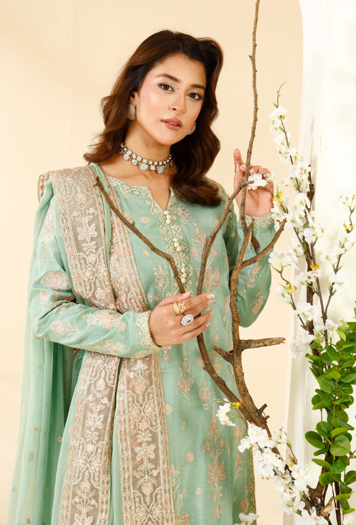 Rabt - D06 Raw Silk Pakistani Formal Dresses - Humdum - 5