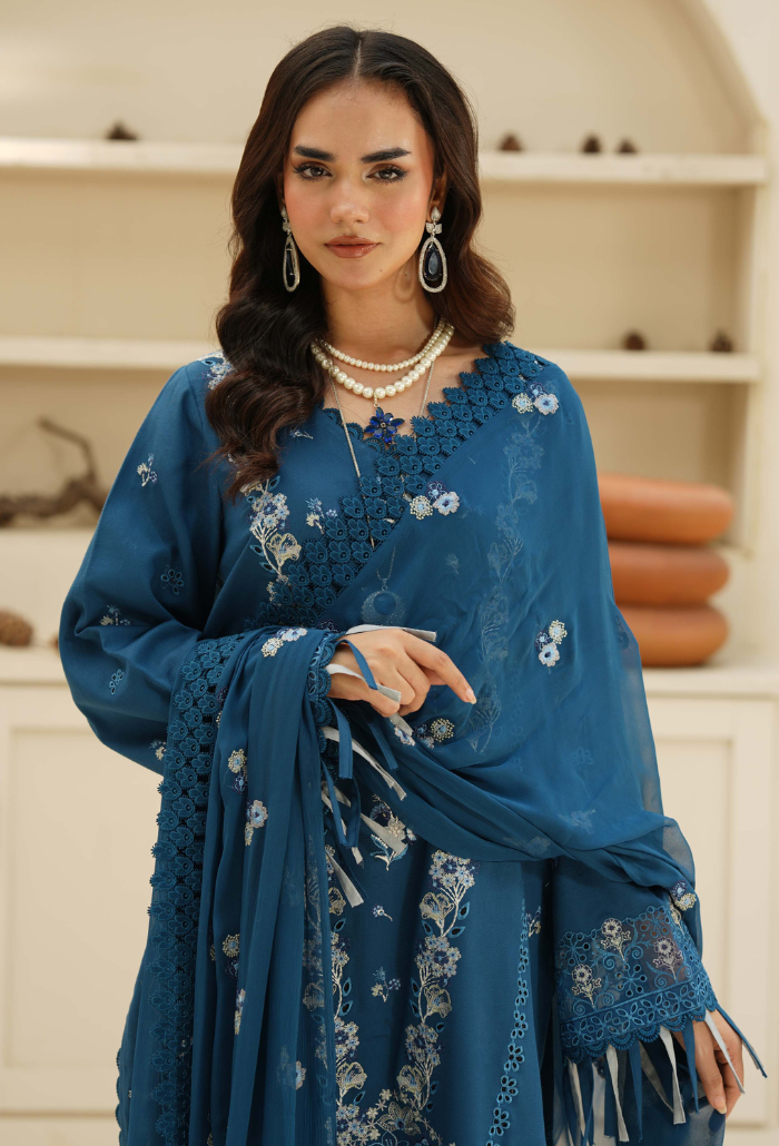 Mushak - D05 Chiffon Pakistani Winter Dresses - Humdum - 4