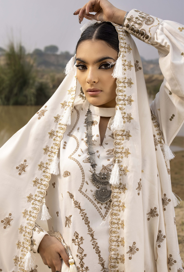 Sierra-D01 Premium Fabric Pakistani Winter Dresses - Humdum - 4