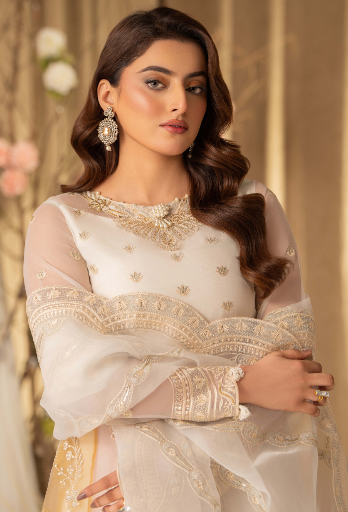 HOC - D16 Raw Silk Pakistani Formal Dresses - Humdum - 3