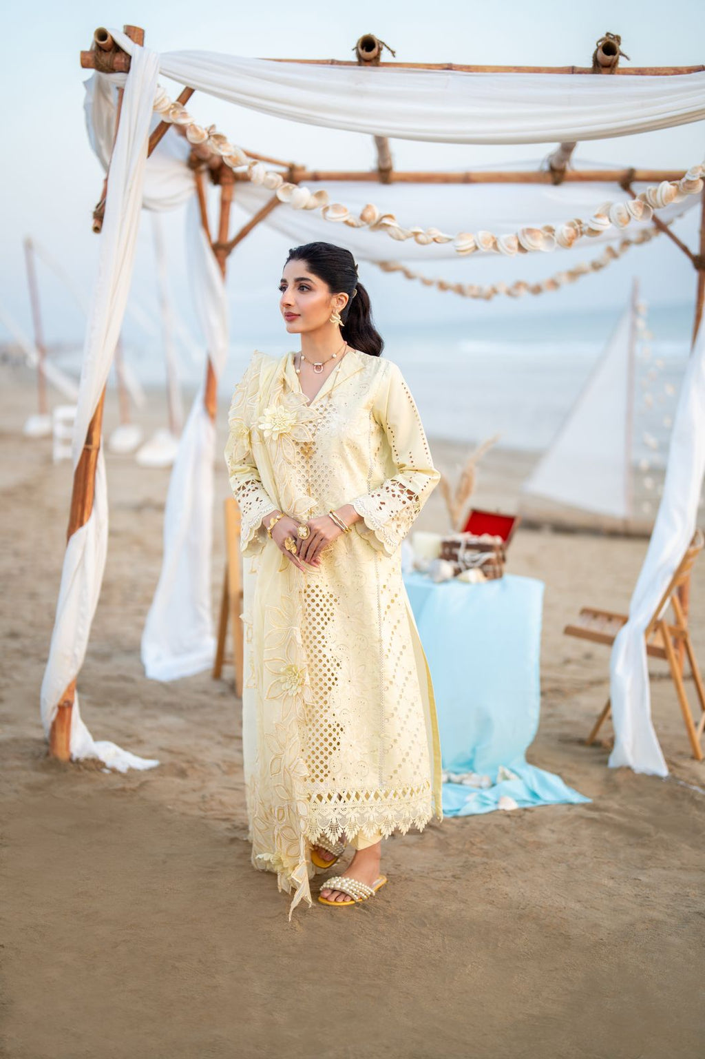 SOFINA (AS-07) Organza Pakistani Summer Dresses - aabyaan - 1