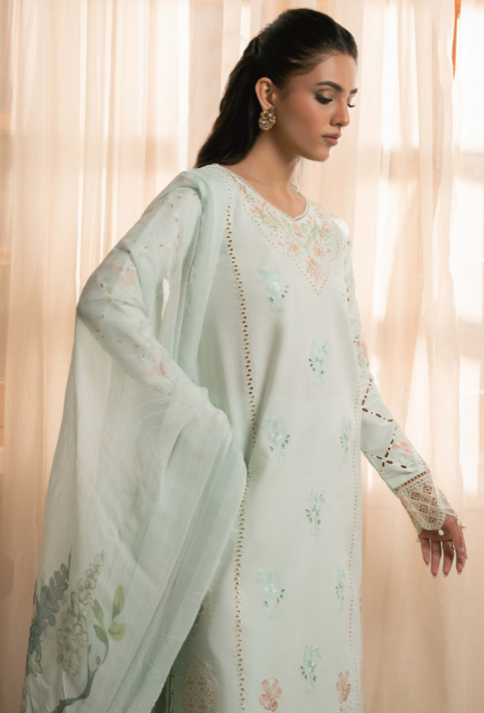 Mehrmaa - D09 Sabeen Organza Pakistani Summer Dresses - Humdum - 3