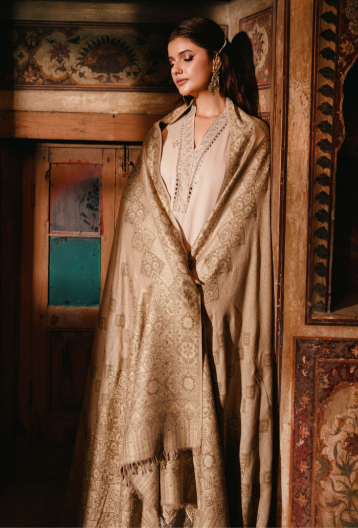 ONORA CHAPTER 2 - D02 Organza Pakistani Winter Dresses - Humdum - 4