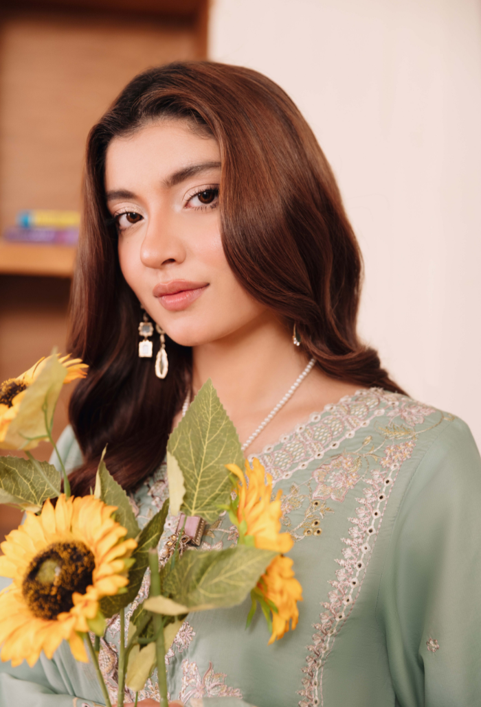 Mirha'2 - D01 Organza Pakistani Summer Dresses - Humdum - 4