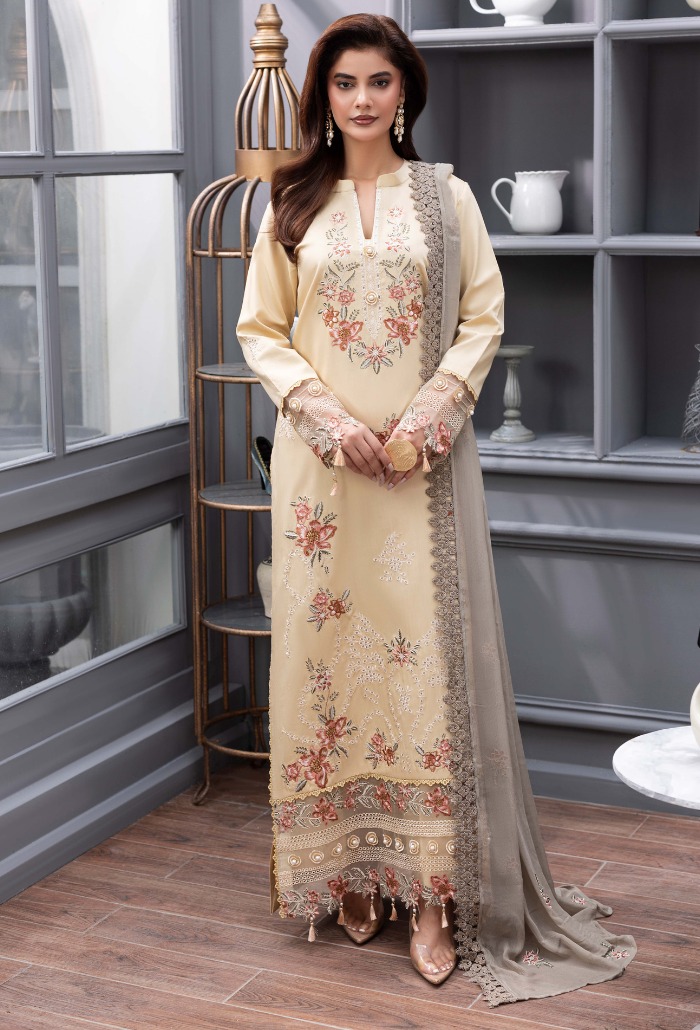 Fareeha - D09 Chiffon Pakistani Winter Dresses - Humdum - 1