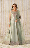 Raqs Organza Pakistani Formal Dresses