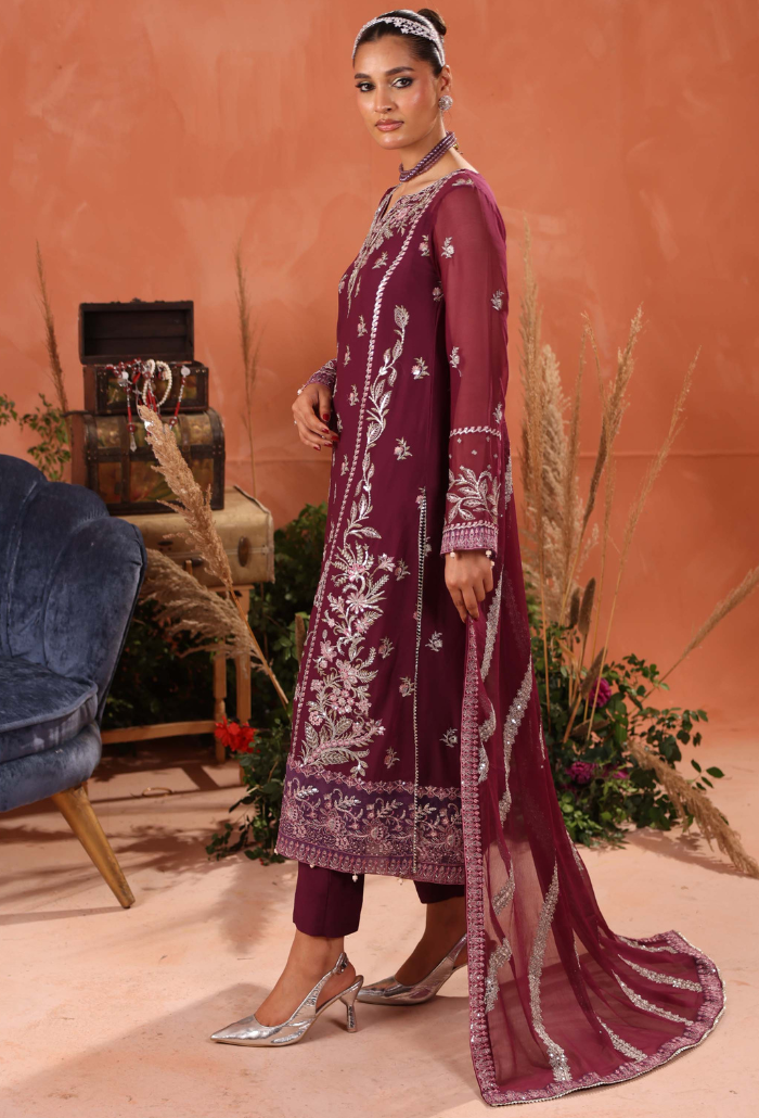 Heer-D09 Organza Pakistani Formal Dresses - Humdum - 3