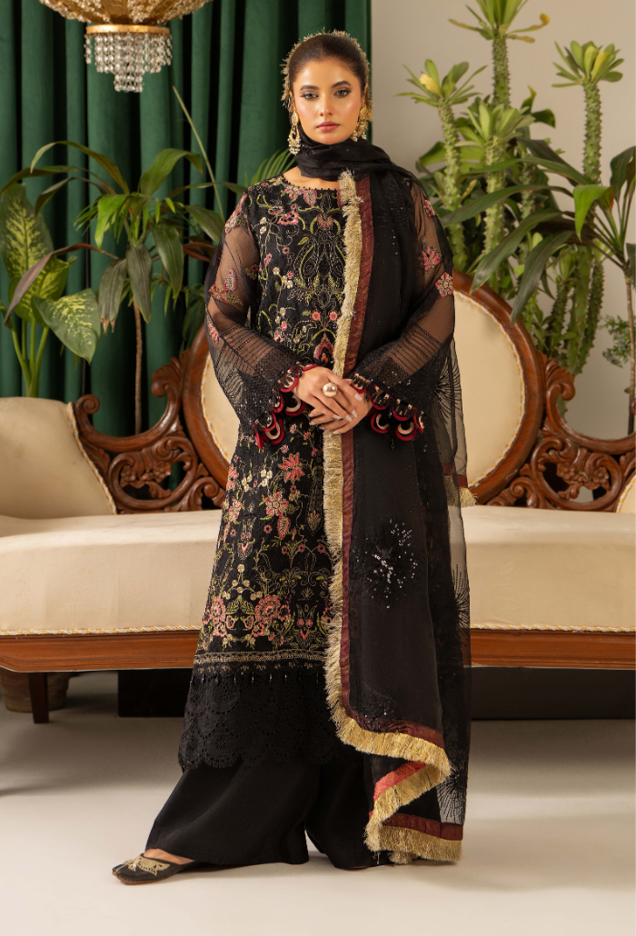 HOC - D03 Raw Silk Pakistani Formal Dresses - Humdum - 1