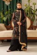 HOC - D03 Raw Silk Pakistani Formal Dresses - Humdum - 1