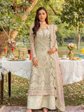 LD 01 Raw Silk Pakistani Formal Dresses