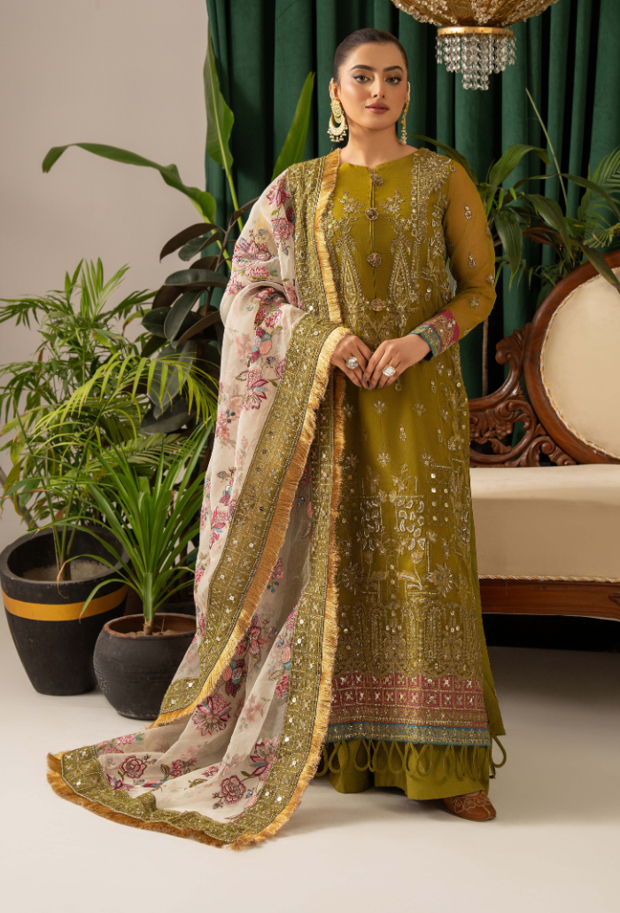 HOC - D01 Raw Silk Pakistani Formal Dresses - Humdum - 1