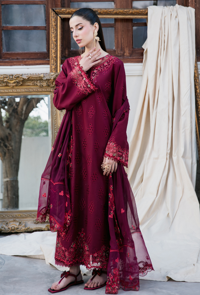 Meraki'2 - D03 Organza Pakistani Summer Dresses - Humdum - 3