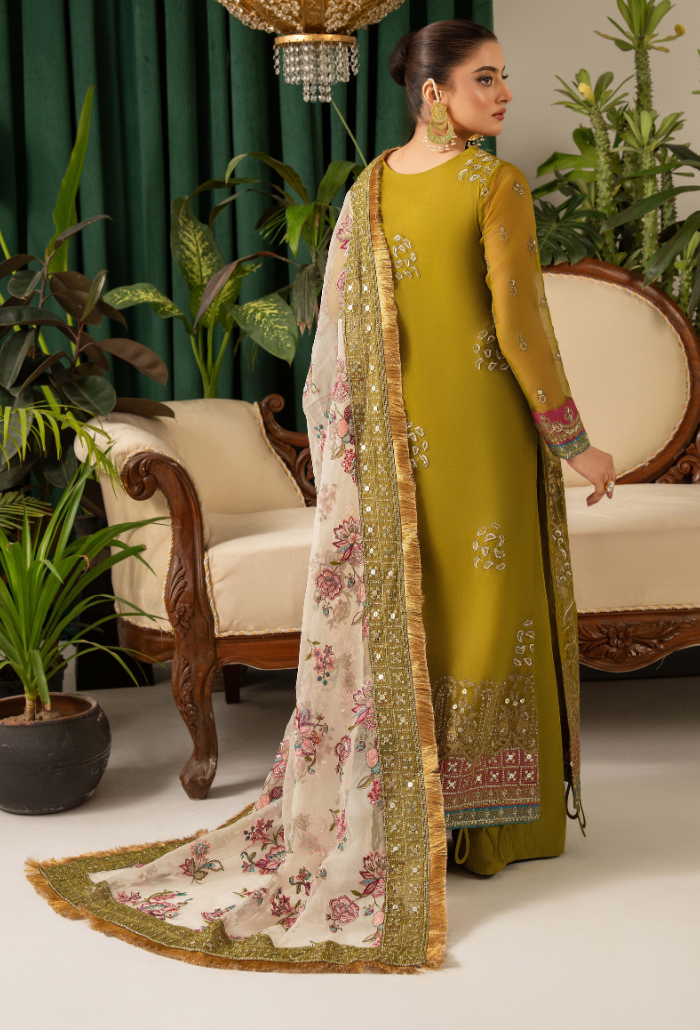 HOC - D01 Raw Silk Pakistani Formal Dresses - Humdum - 2