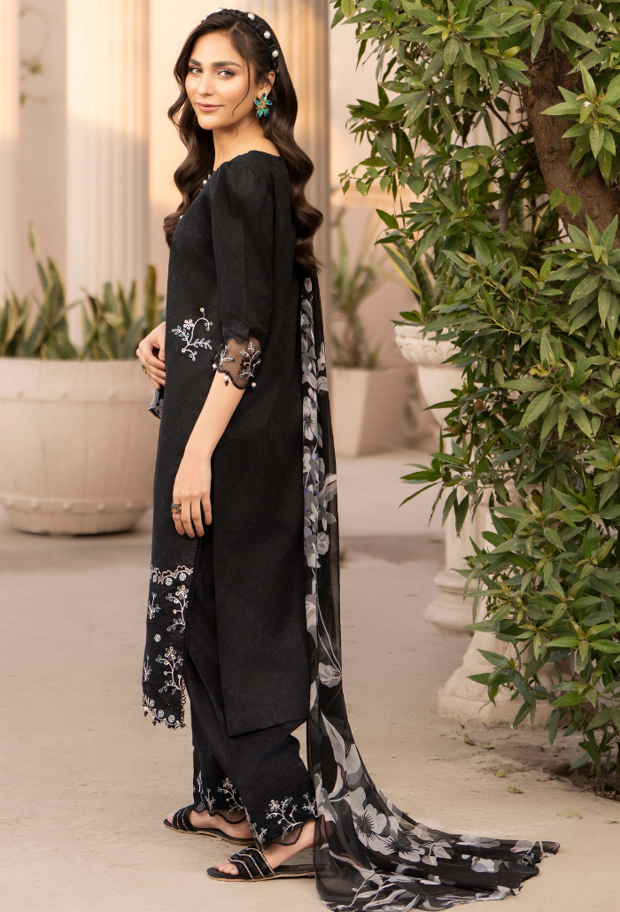Summer Breeze - D01 Chiffon Pakistani Summer Dresses - Humdum - 2