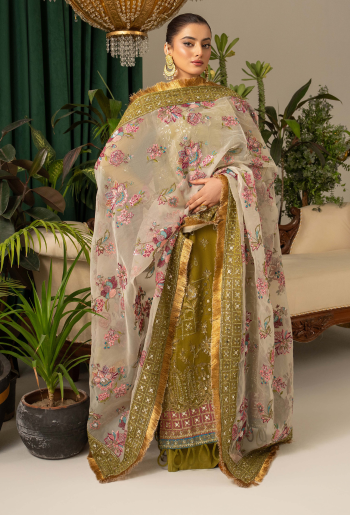 HOC - D01 Raw Silk Pakistani Formal Dresses - Humdum - 3