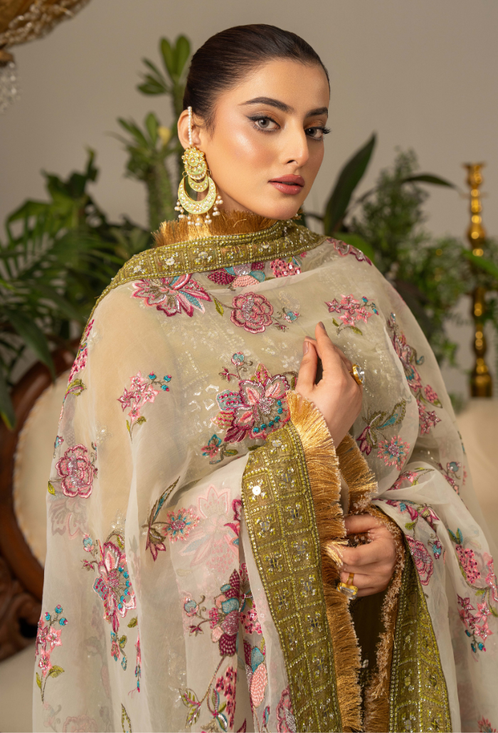 HOC - D01 Raw Silk Pakistani Formal Dresses - Humdum - 4