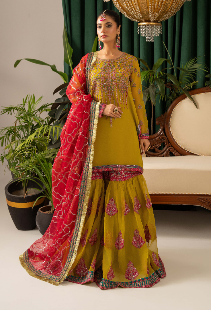 HOC - D06 Raw Silk Pakistani Formal Dresses - Humdum - 1