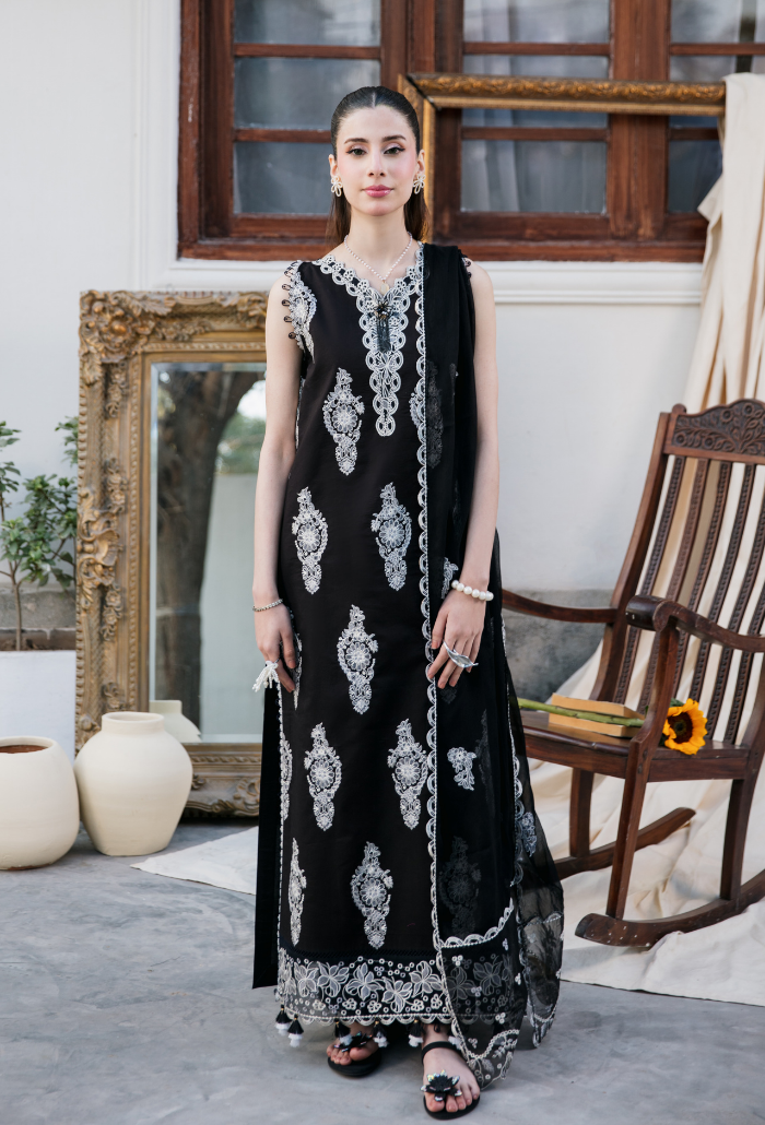 Meraki'2 - D01 Organza Pakistani Summer Dresses - Humdum - 1