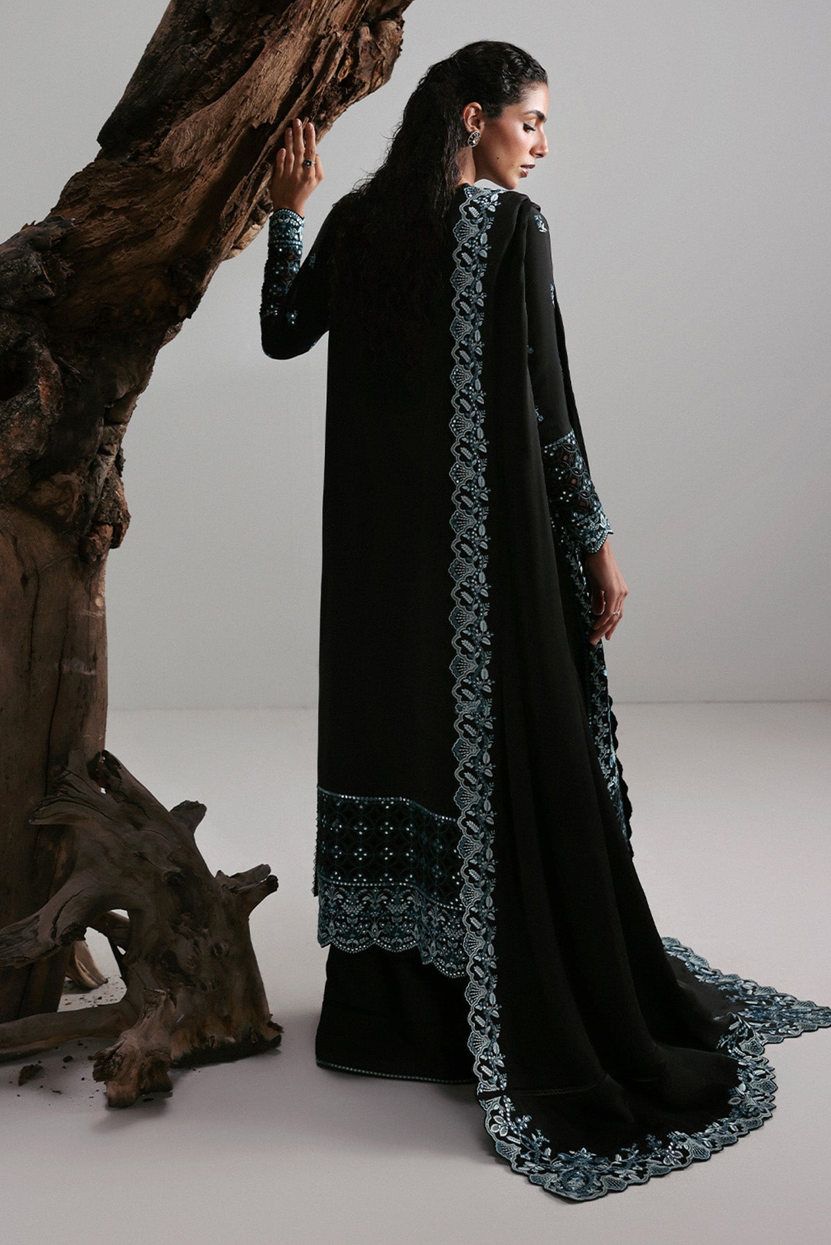 Rhylen Silk Pakistani Formal Dresses - Afrozeh - 2