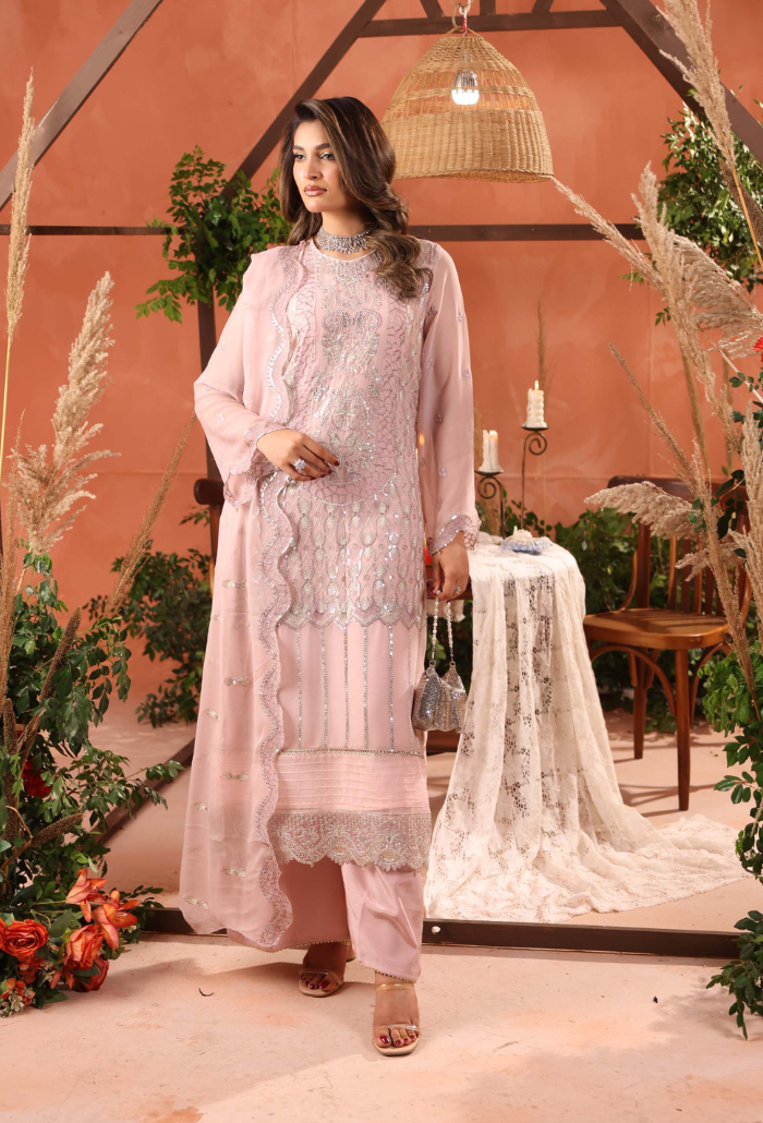Heer-D08 Organza Pakistani Formal Dresses - Humdum - 2