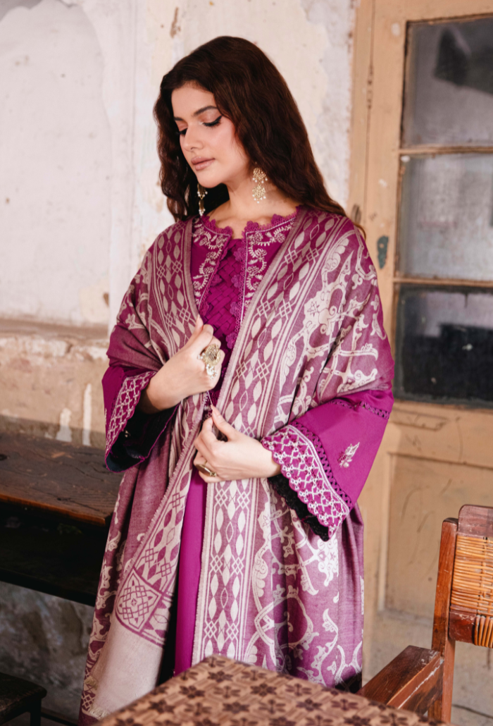 ONORA CHAPTER 2 - D07 Organza Pakistani Winter Dresses - Humdum - 4
