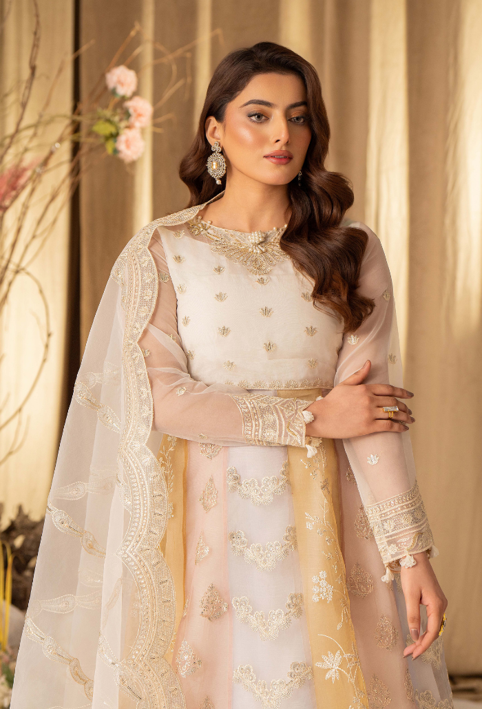 HOC - D16 Raw Silk Pakistani Formal Dresses - Humdum - 4