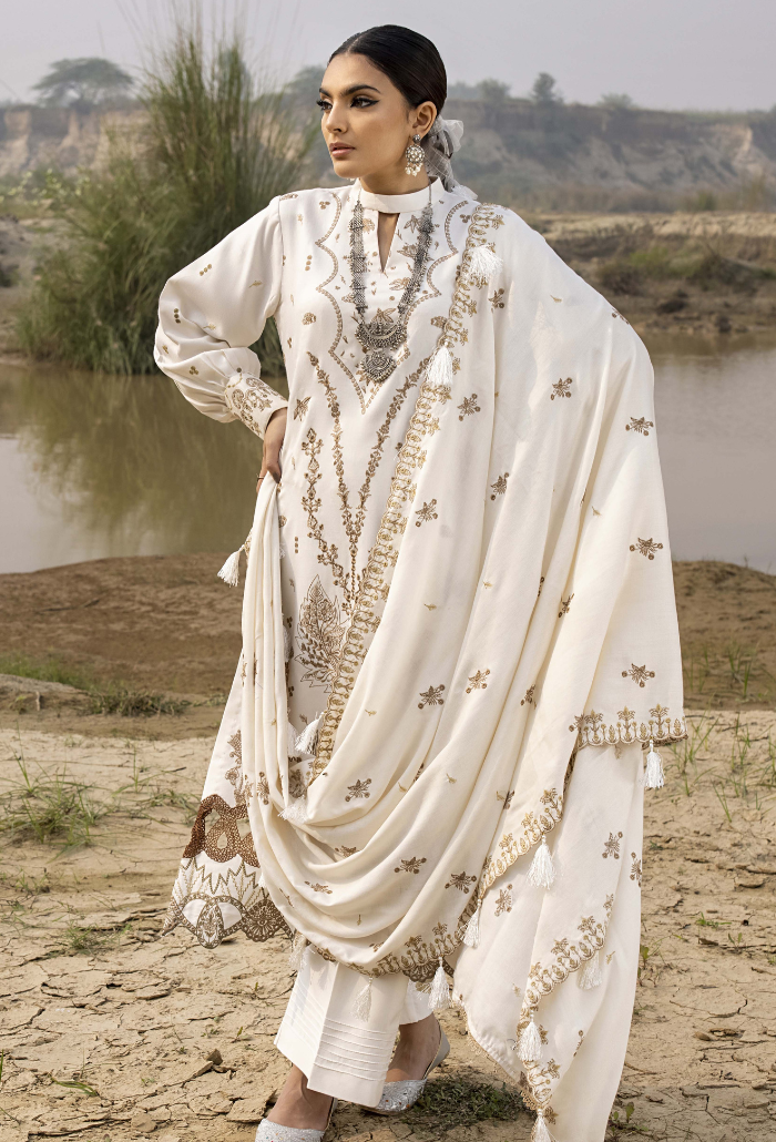Sierra-D01 Premium Fabric Pakistani Winter Dresses - Humdum - 2