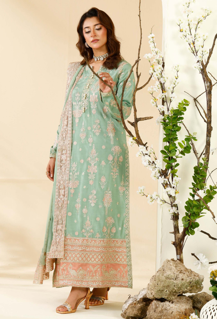 Rabt - D06 Raw Silk Pakistani Formal Dresses - Humdum - 4