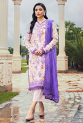 Diva - D05 Chiffon Pakistani Winter Dresses - Humdum - 1