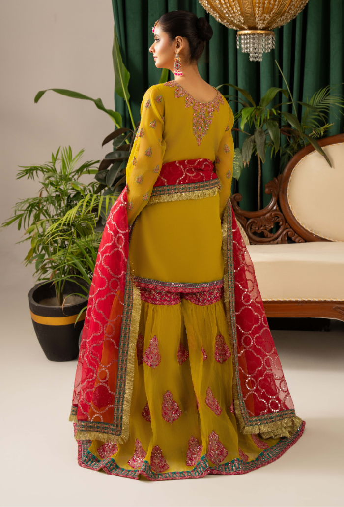HOC - D06 Raw Silk Pakistani Formal Dresses - Humdum - 2
