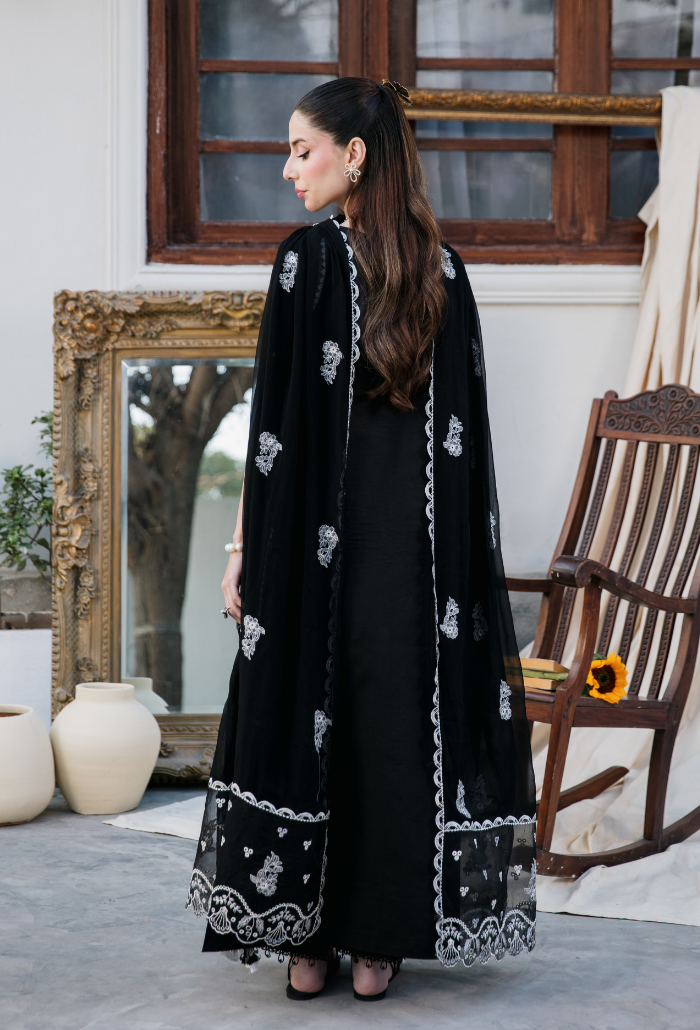 Meraki'2 - D01 Organza Pakistani Summer Dresses - Humdum - 2
