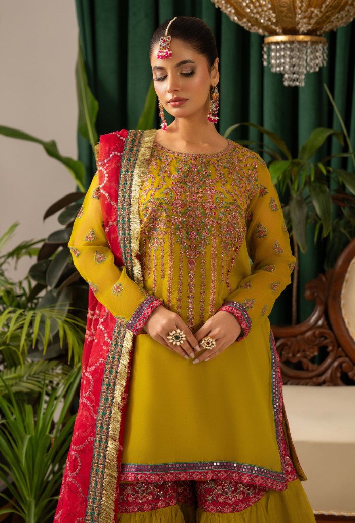 HOC - D06 Raw Silk Pakistani Formal Dresses - Humdum - 3