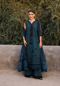 ZQL0014 Embroidered Pakistani Dress