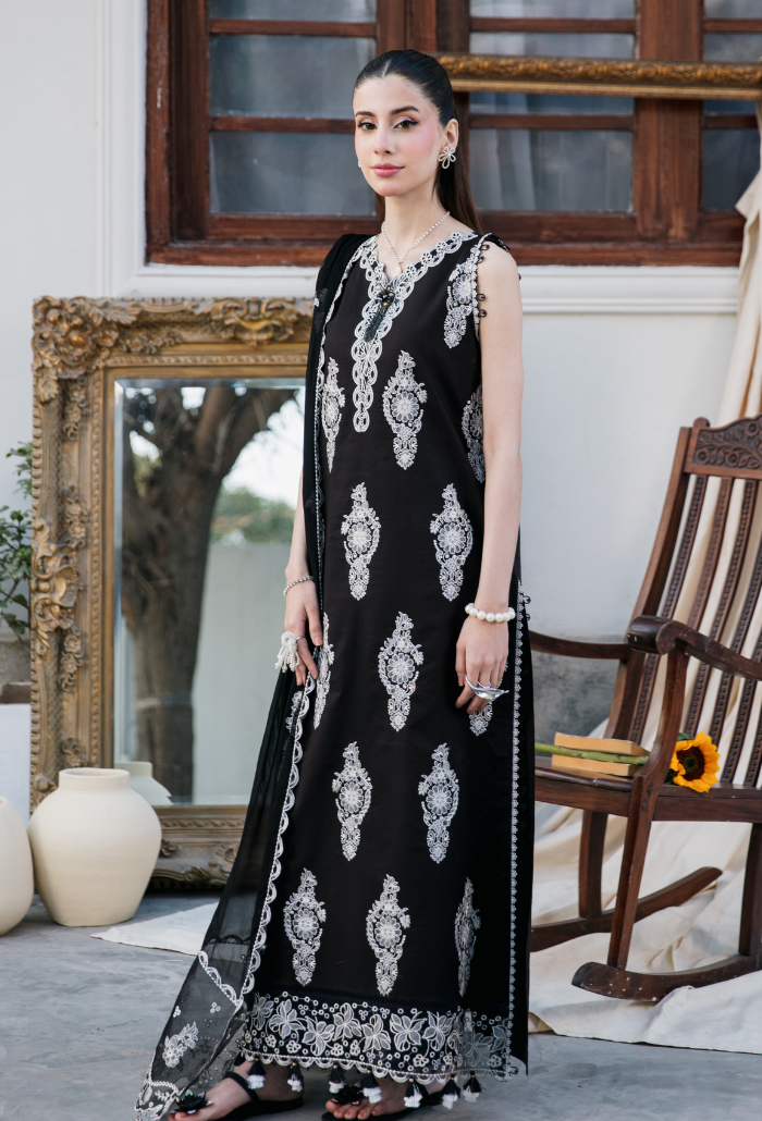 Meraki'2 - D01 Organza Pakistani Summer Dresses - Humdum - 3