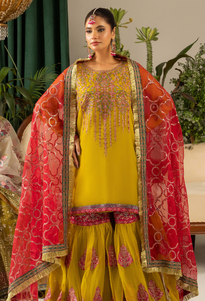 HOC - D06 Raw Silk Pakistani Formal Dresses - Humdum - 4