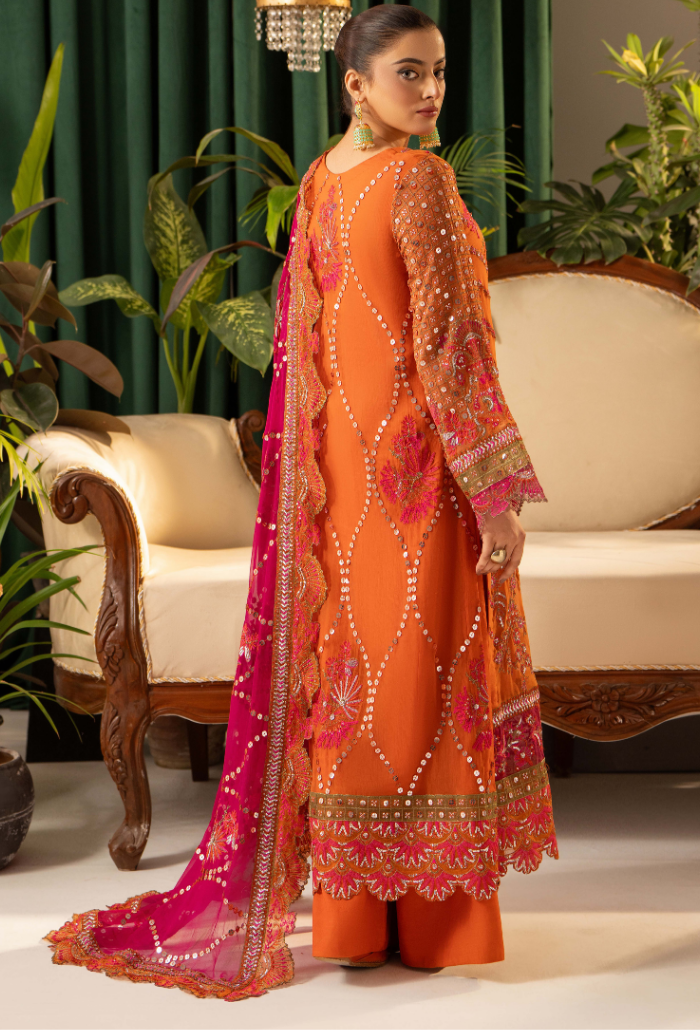 HOC - D07 Raw Silk Pakistani Formal Dresses - Humdum - 2