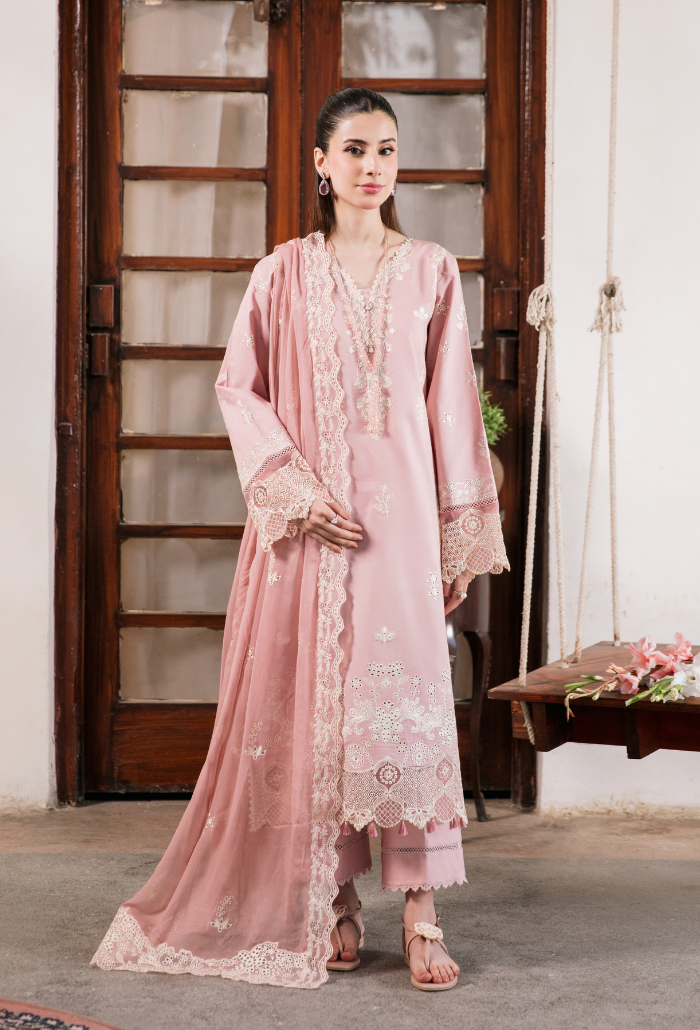 Meraki'2 - D10 Organza Pakistani Summer Dresses - Humdum - 1