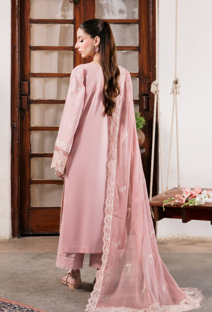 Meraki'2 - D10 Organza Pakistani Summer Dresses - Humdum - 2