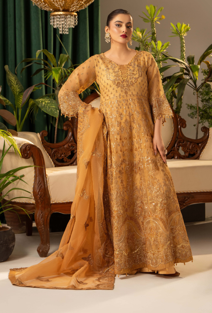 HOC - D05 Raw Silk Pakistani Formal Dresses - Humdum - 1
